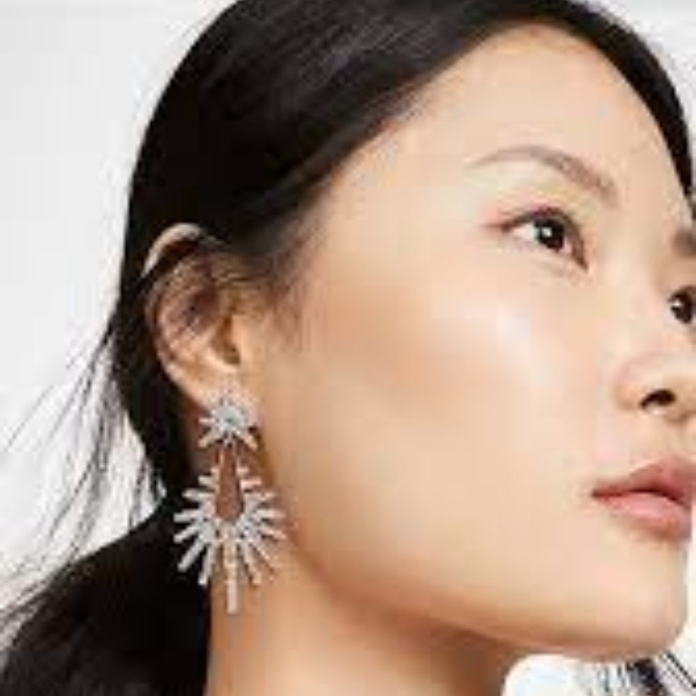 Elizabeth Cole REMINGTON earrings!